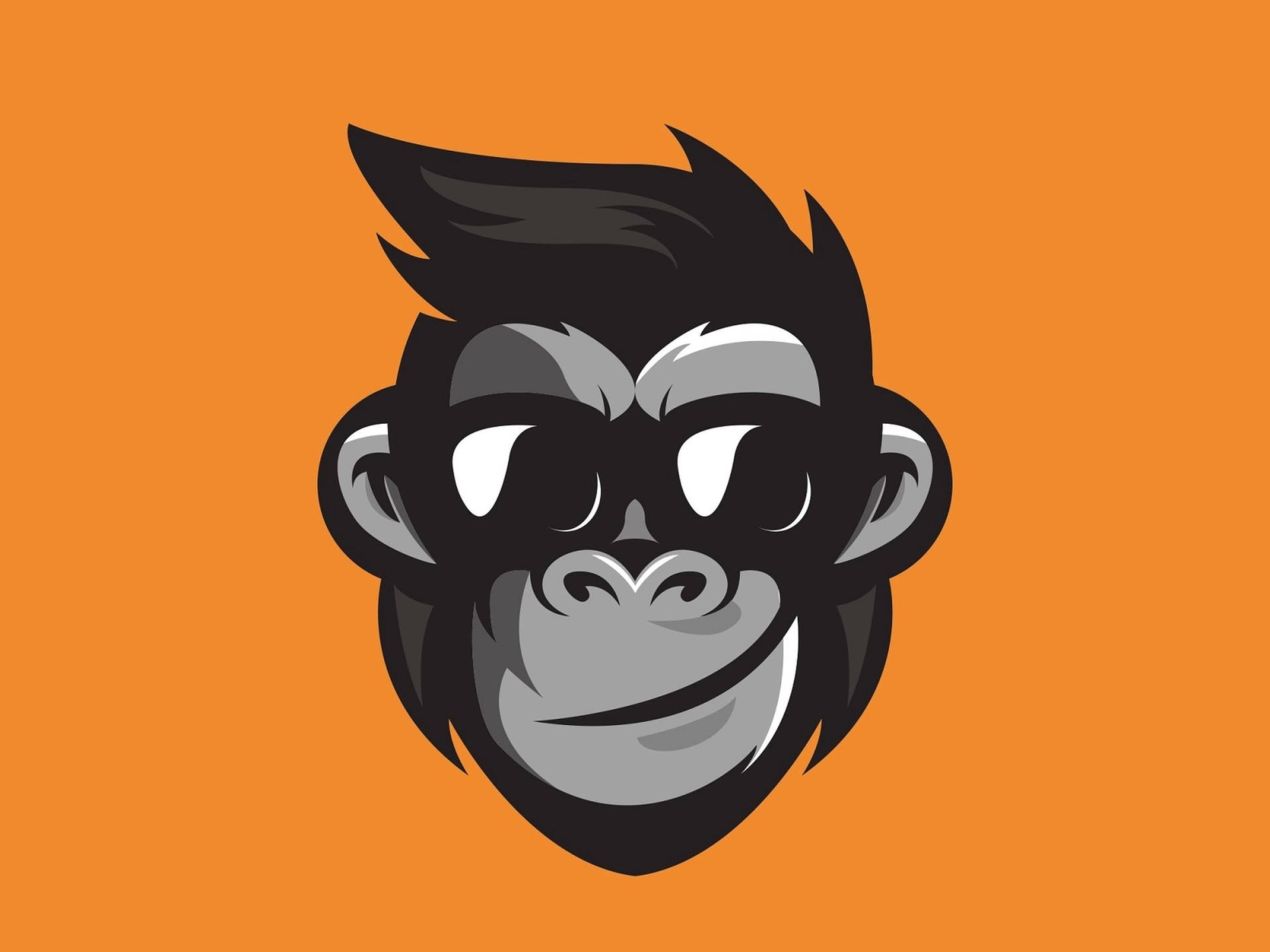 Cool Profile Pictures Monkey Face Background