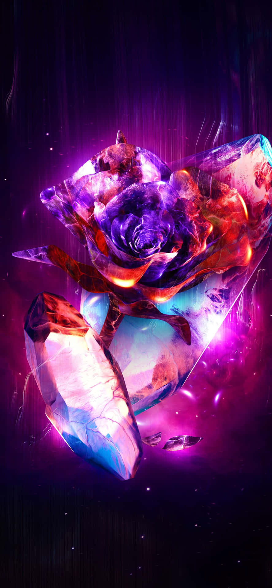 Unavista Increíble De Una Rosa Impresionante. Fondo de pantalla