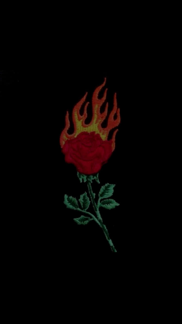 Einelebendige Rosa Rose Erhebt Sich Majestätisch Zwischen Den Üppig Grünen Farnen, Ein Zeitloses Symbol Für Schönheit Und Anmut. Wallpaper