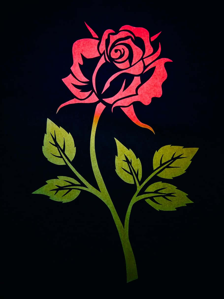 En smuk kølig-tonet rose omgivet af morgendug. Wallpaper
