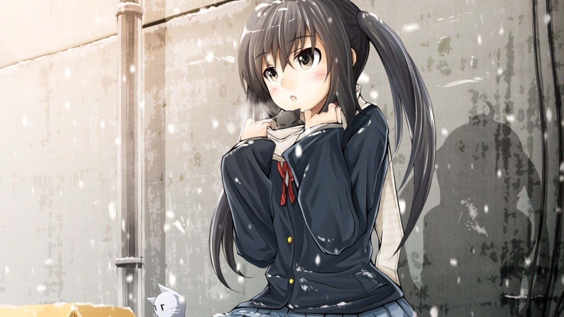 Anime girl chilling cat snow coat winter scarf Anime HD wallpaper   Peakpx