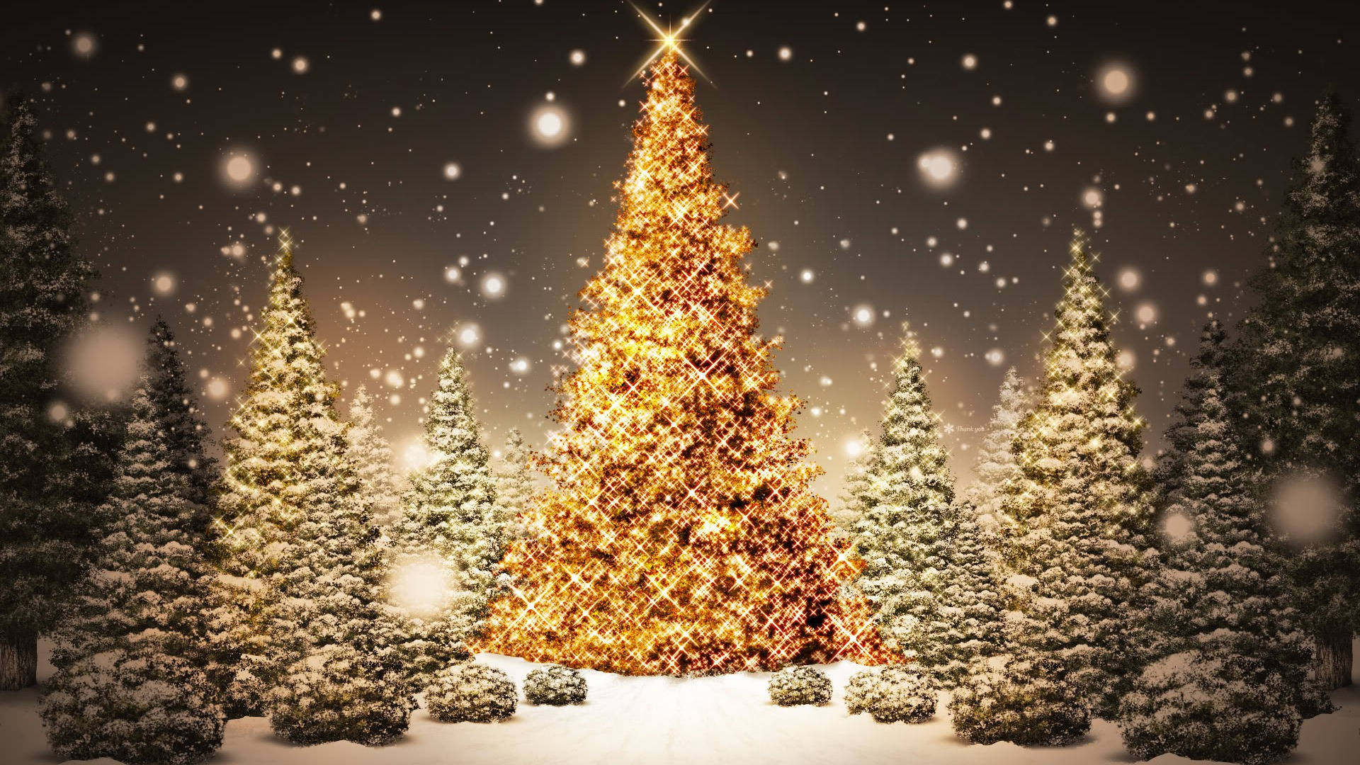 Cool Shiny Christmas Trees Desktop Wallpaper