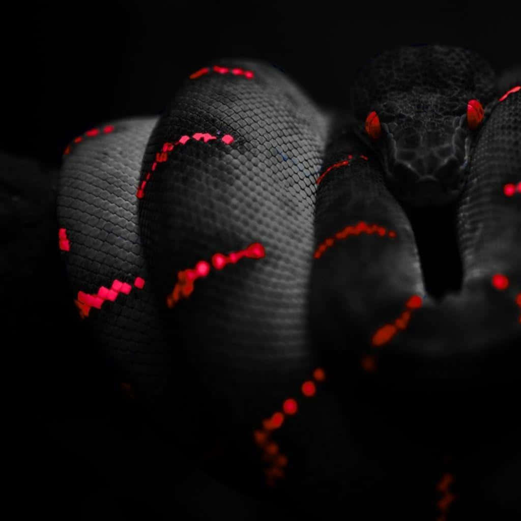 Cool Snake's Colorful Pattern Wallpaper