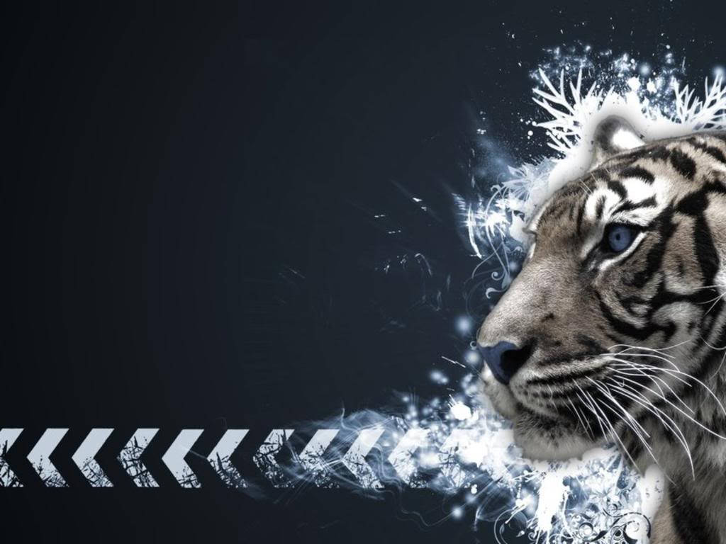 Cool Snow Tiger Edit Background