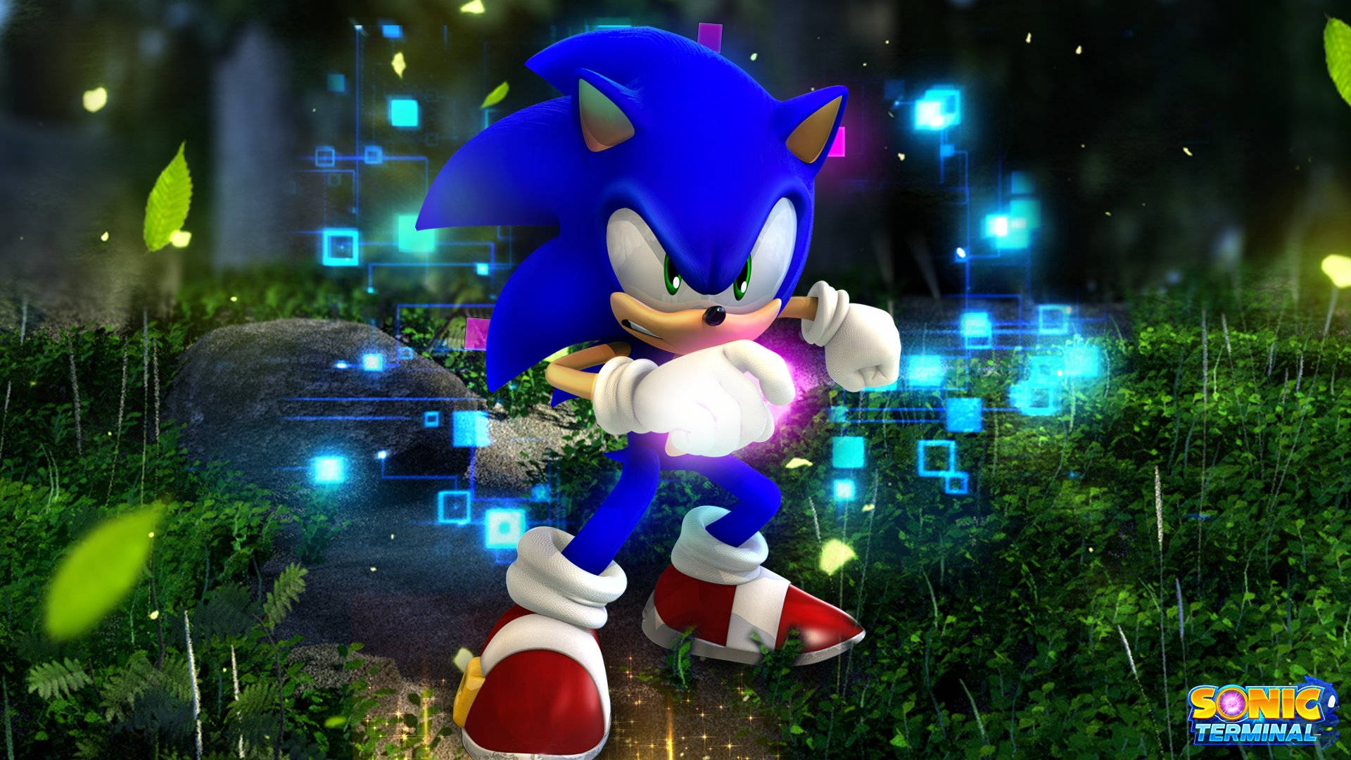 Speed along with Cool Sonic! Wallpaper