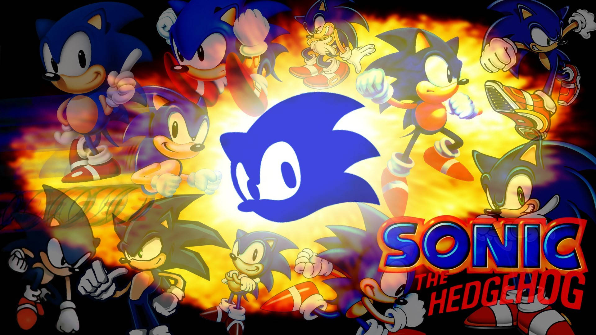 Sjov Sonic er her for at tage på alle eventyr Wallpaper
