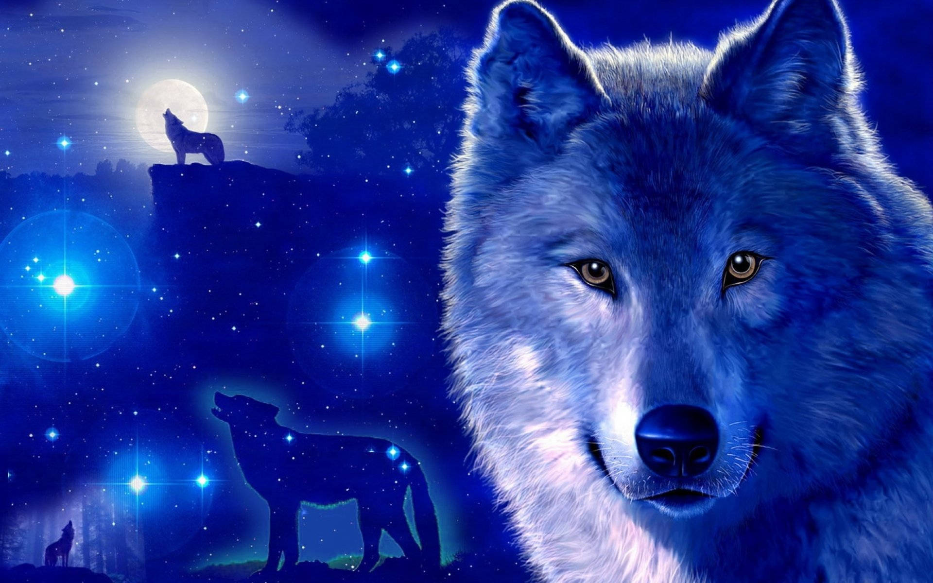 Cooleglitzernde Blaue Nacht Galaxy Wolf Wallpaper