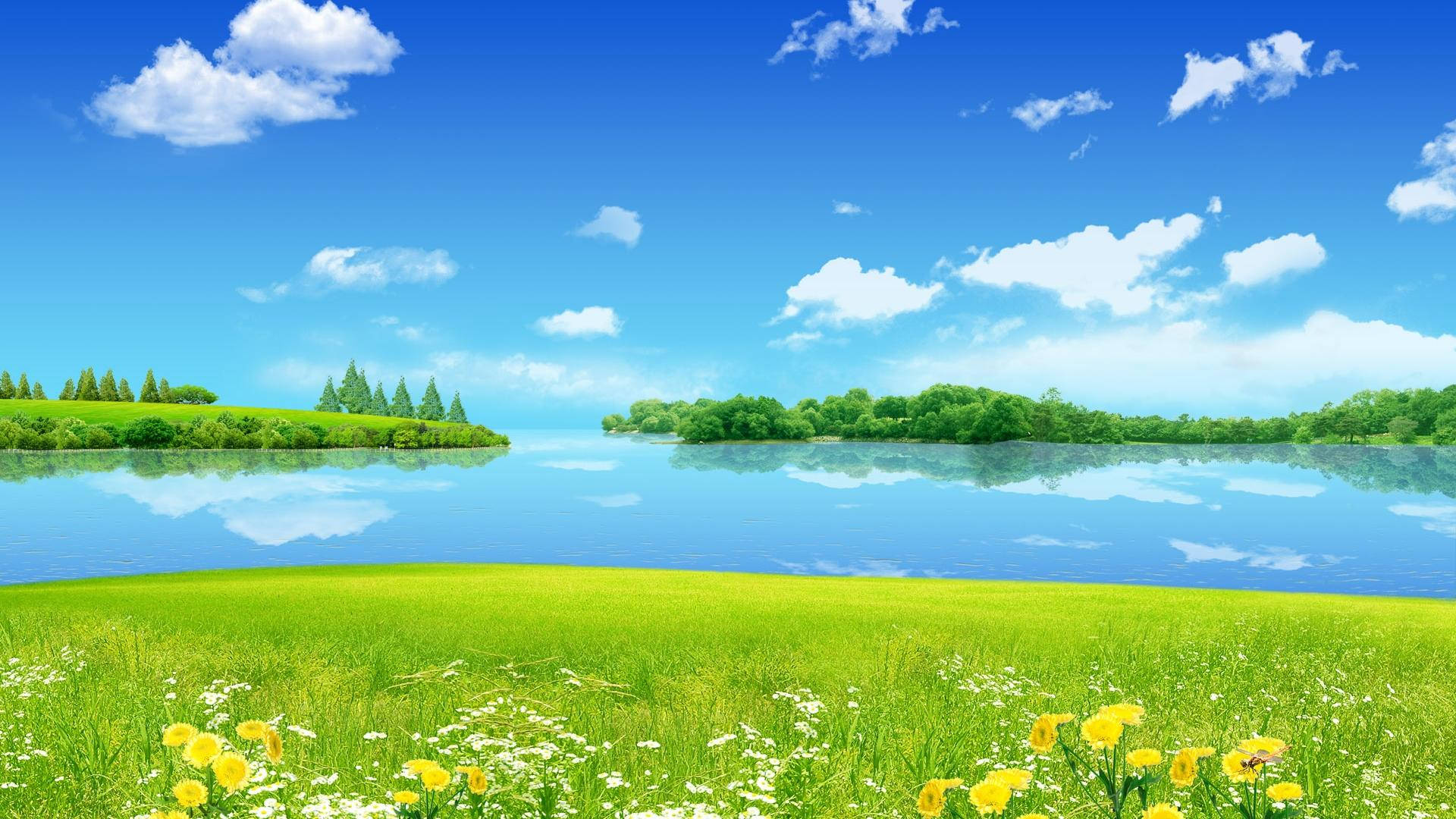 Lake and green field in summer desktop wallpaper.