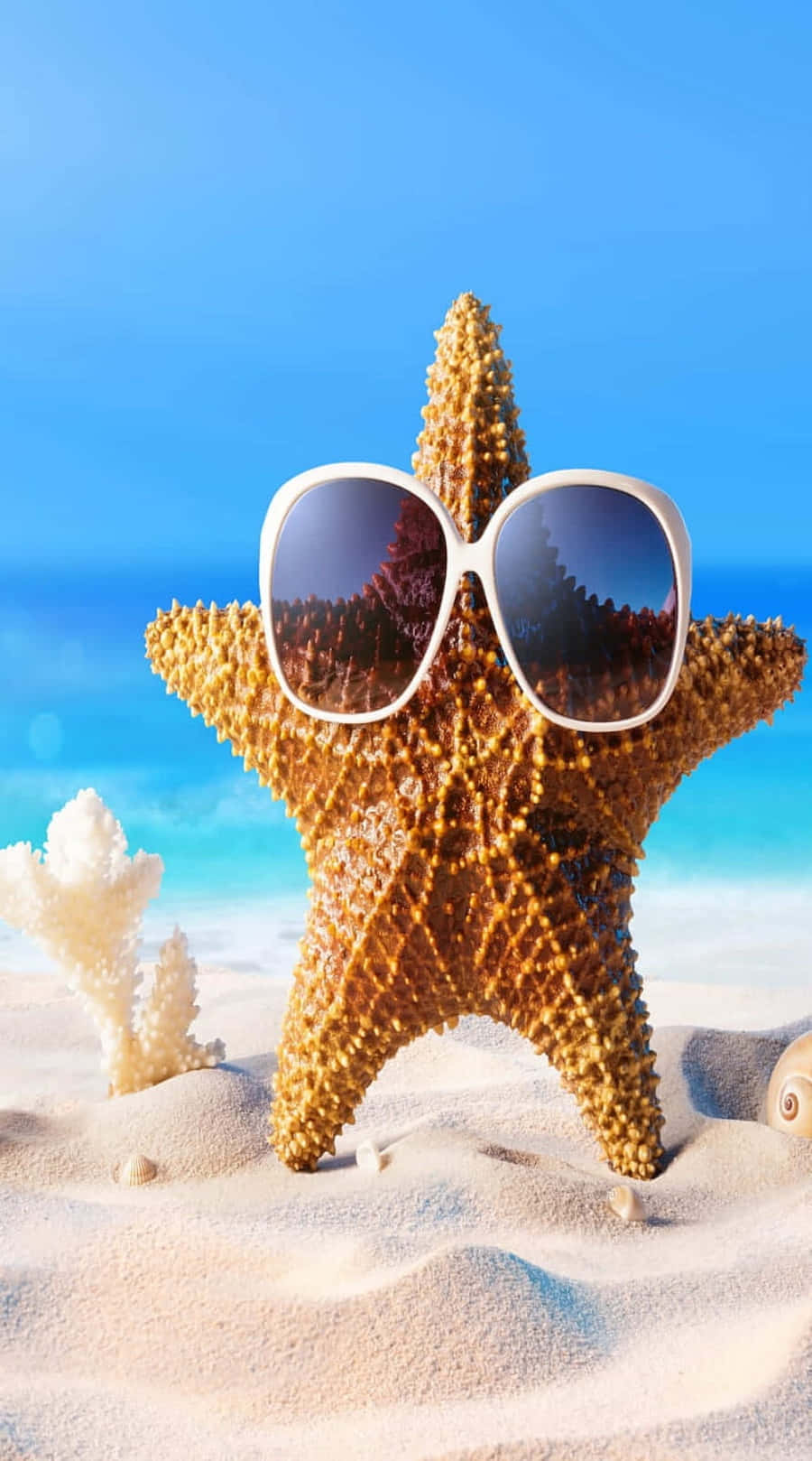 Estrellade Mar Fresca De Verano Con Gafas De Sol Fondo de pantalla