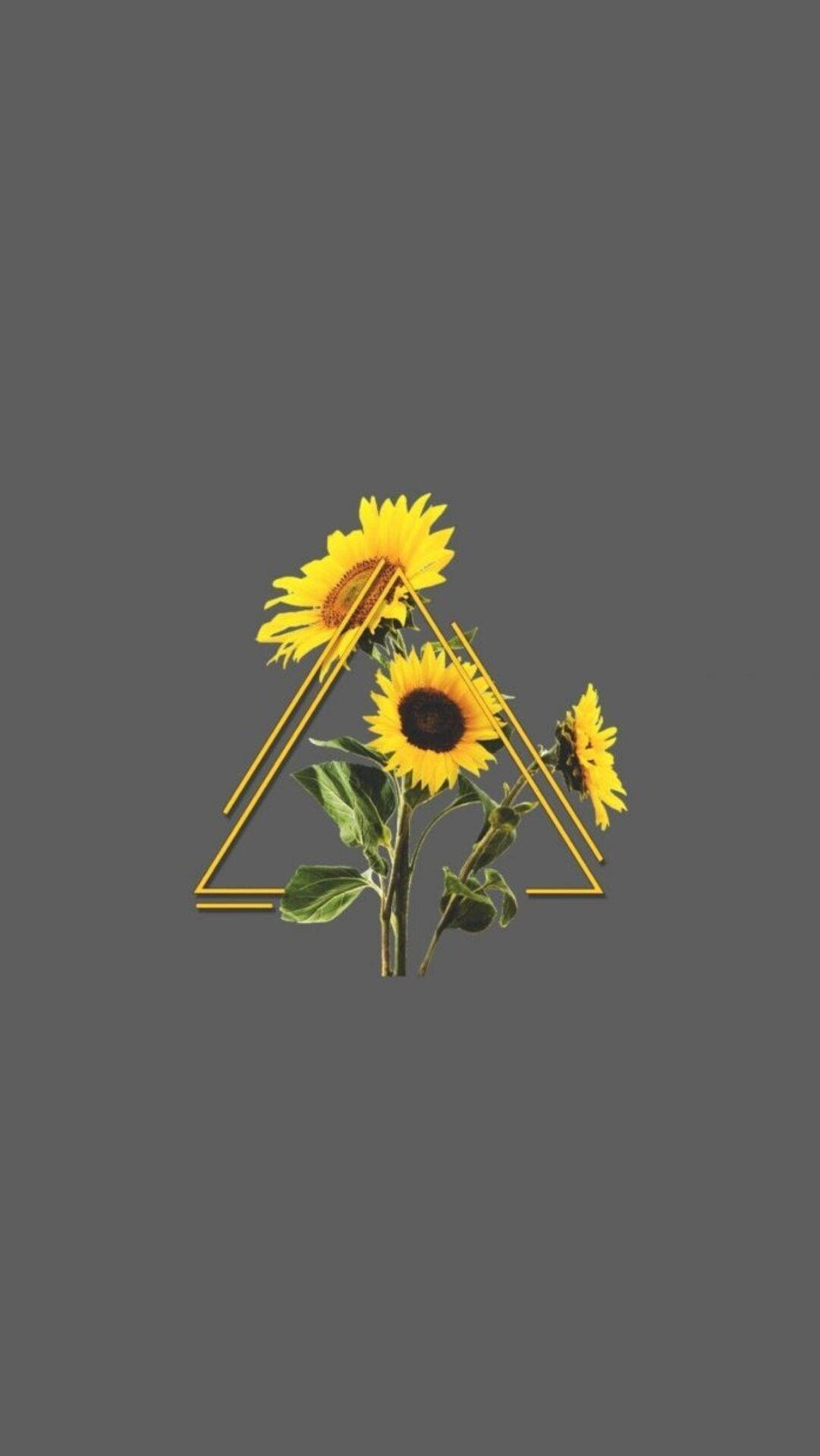Cool Sunflower Iphone Edit Wallpaper