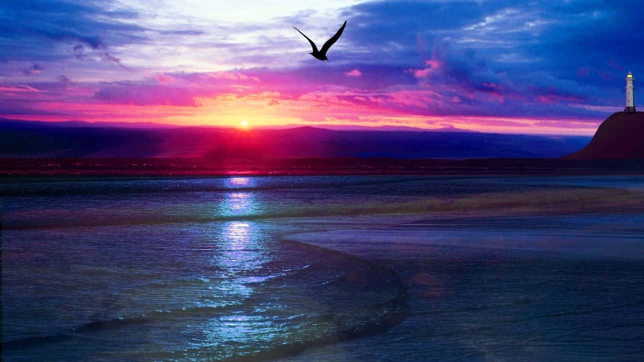 A beautiful, cool sunset viewed from a beach shore. Wallpaper