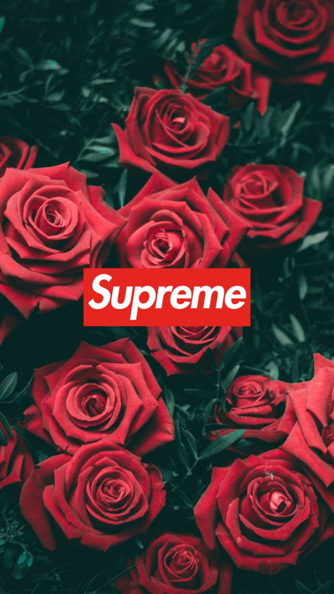Cool Supreme Red Roses