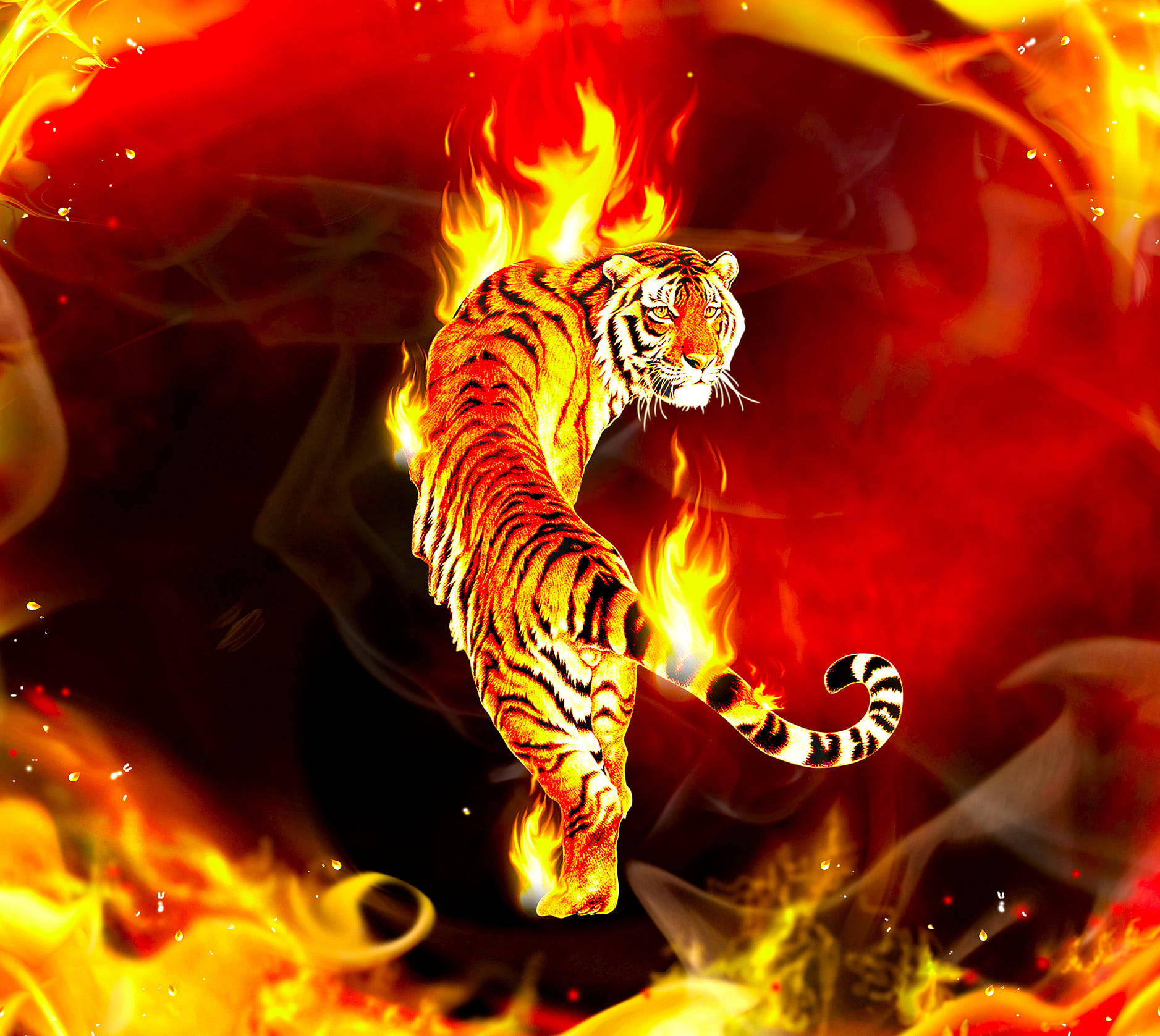 Cool Tiger On Fire Background