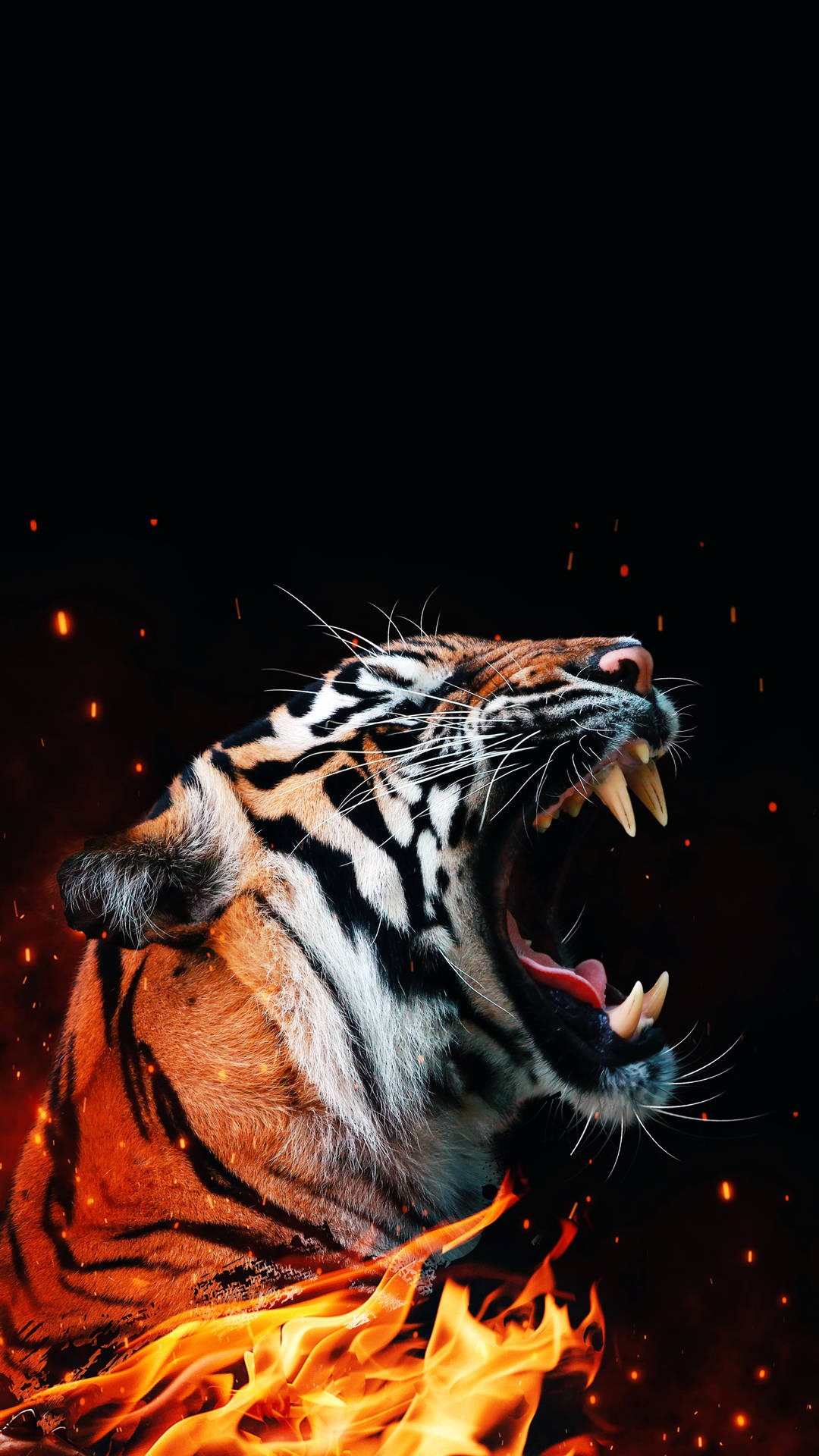 Cool Tiger Photo In Fire Background