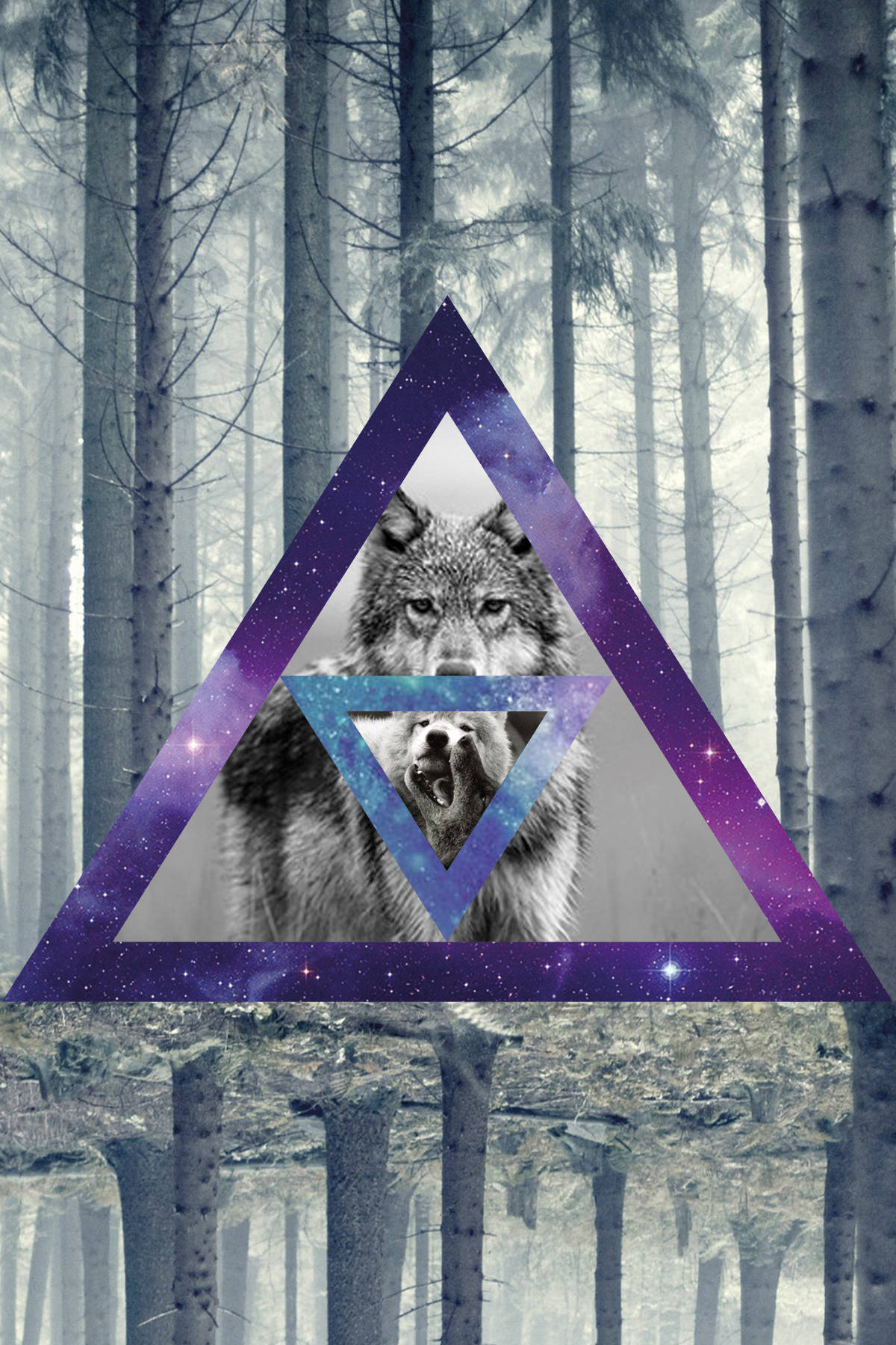 Cool Triangle Galaxy Graphic With Wolf Wallpaper