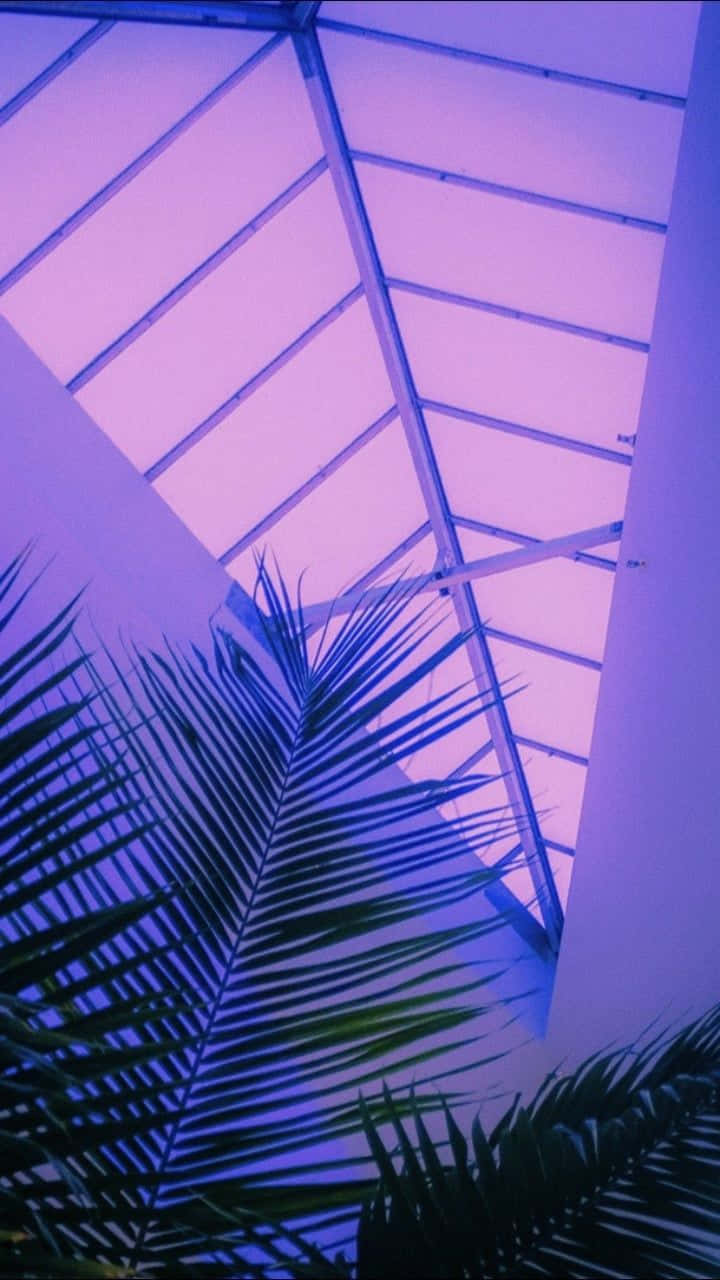 A Purple Sky With Palm Trees And A Roof Wallpaper