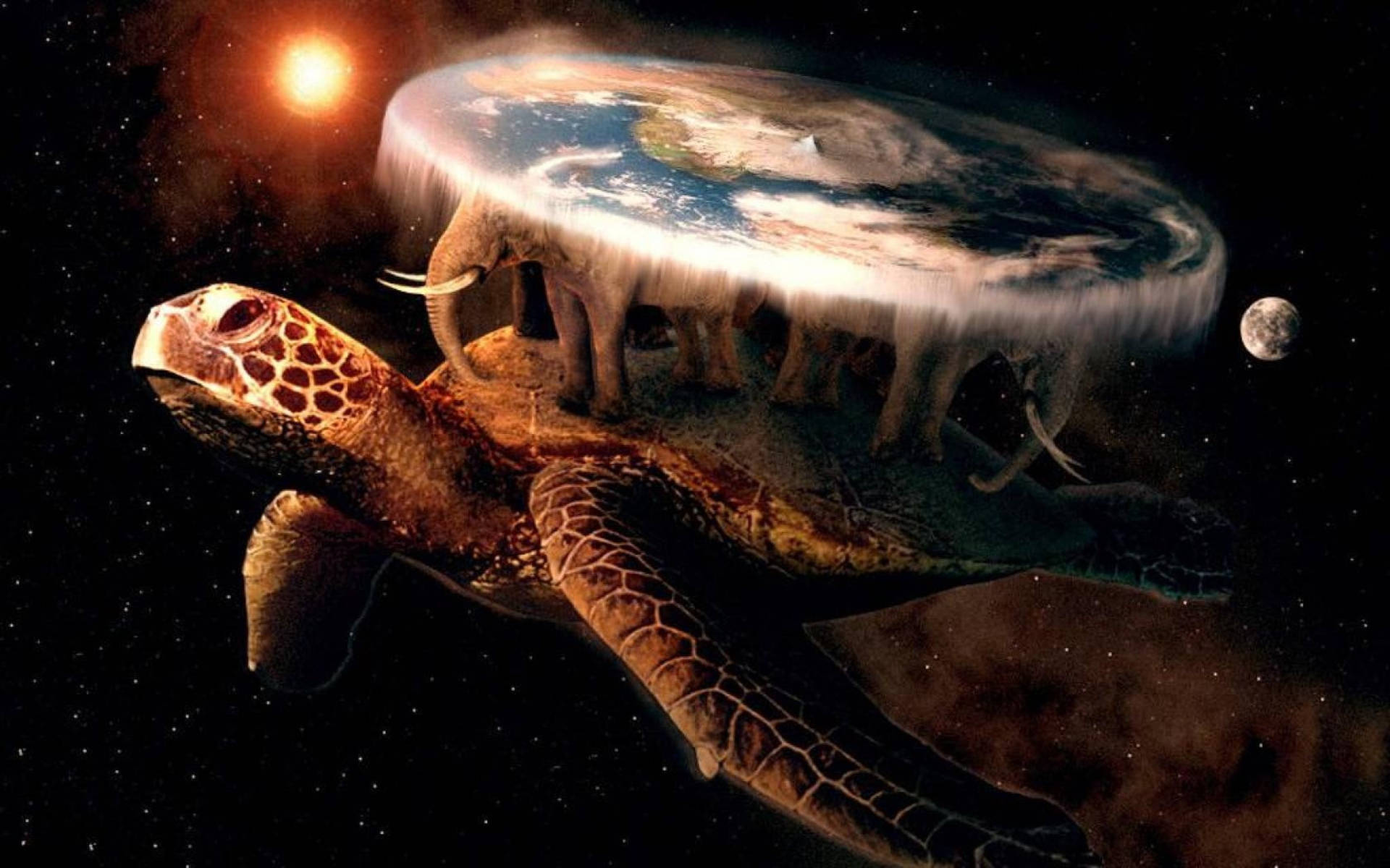 Coole Turtles Og Flade Jorden Wallpaper