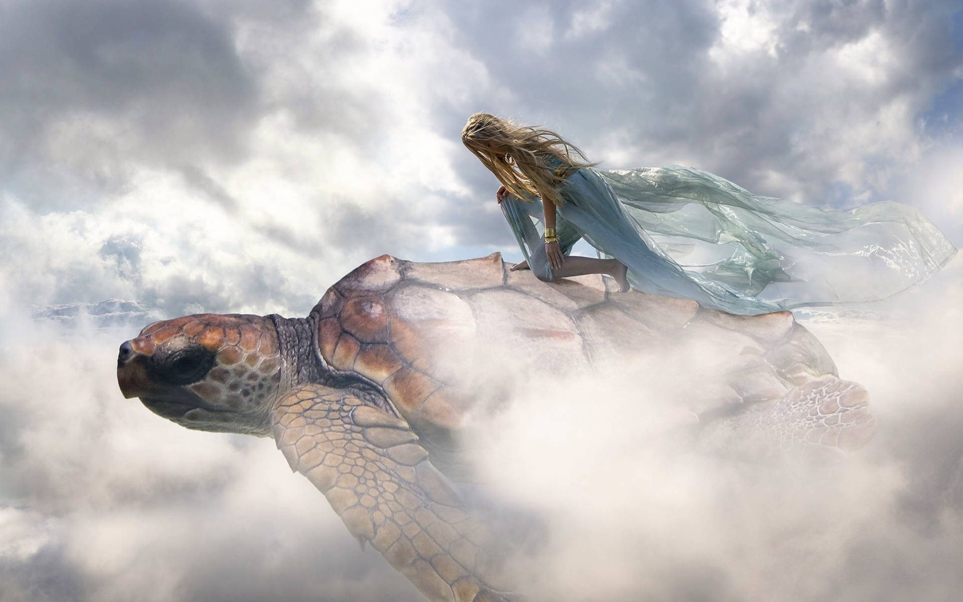 Cool Turtle And Woman Wallpaper