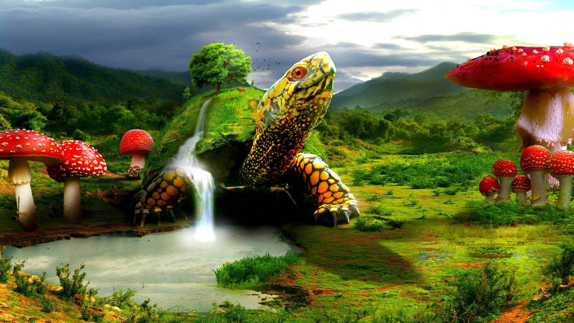 Cool Turtle Digital Fantasy Wallpaper