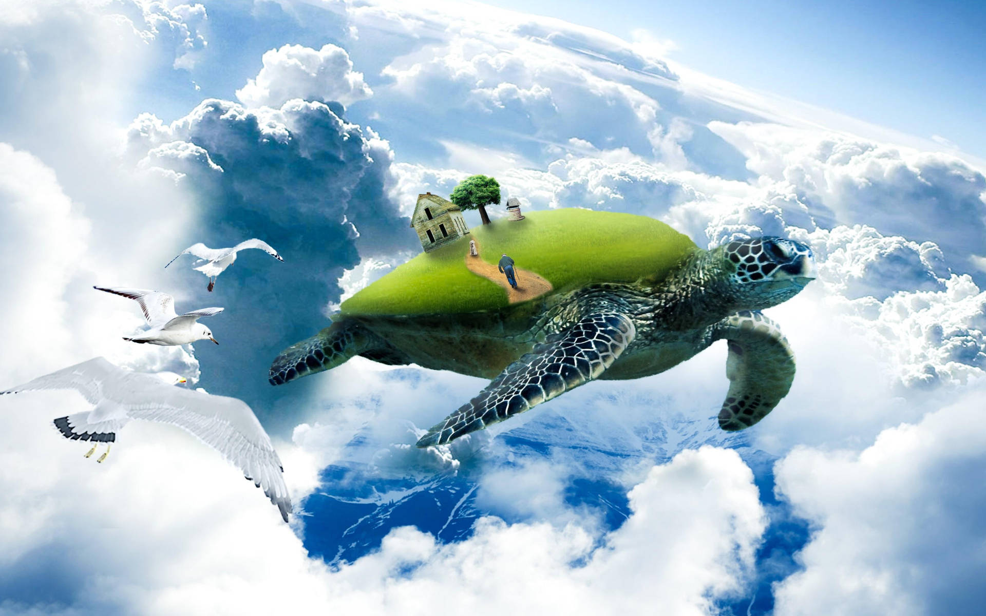 Cool Turtle Flying Above Clouds Wallpaper