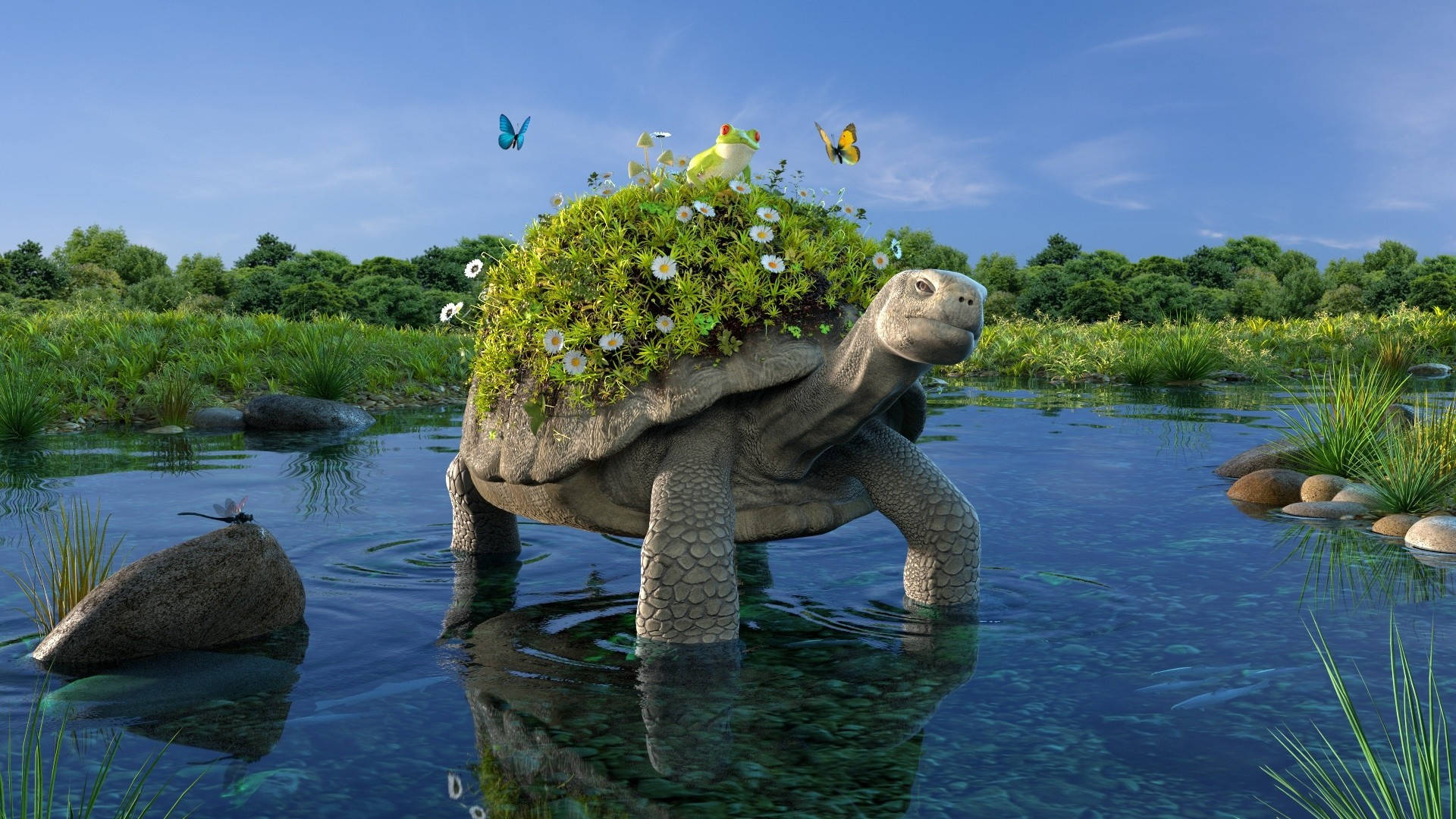 Cool Turtle With Flowery Shell Wallpaper