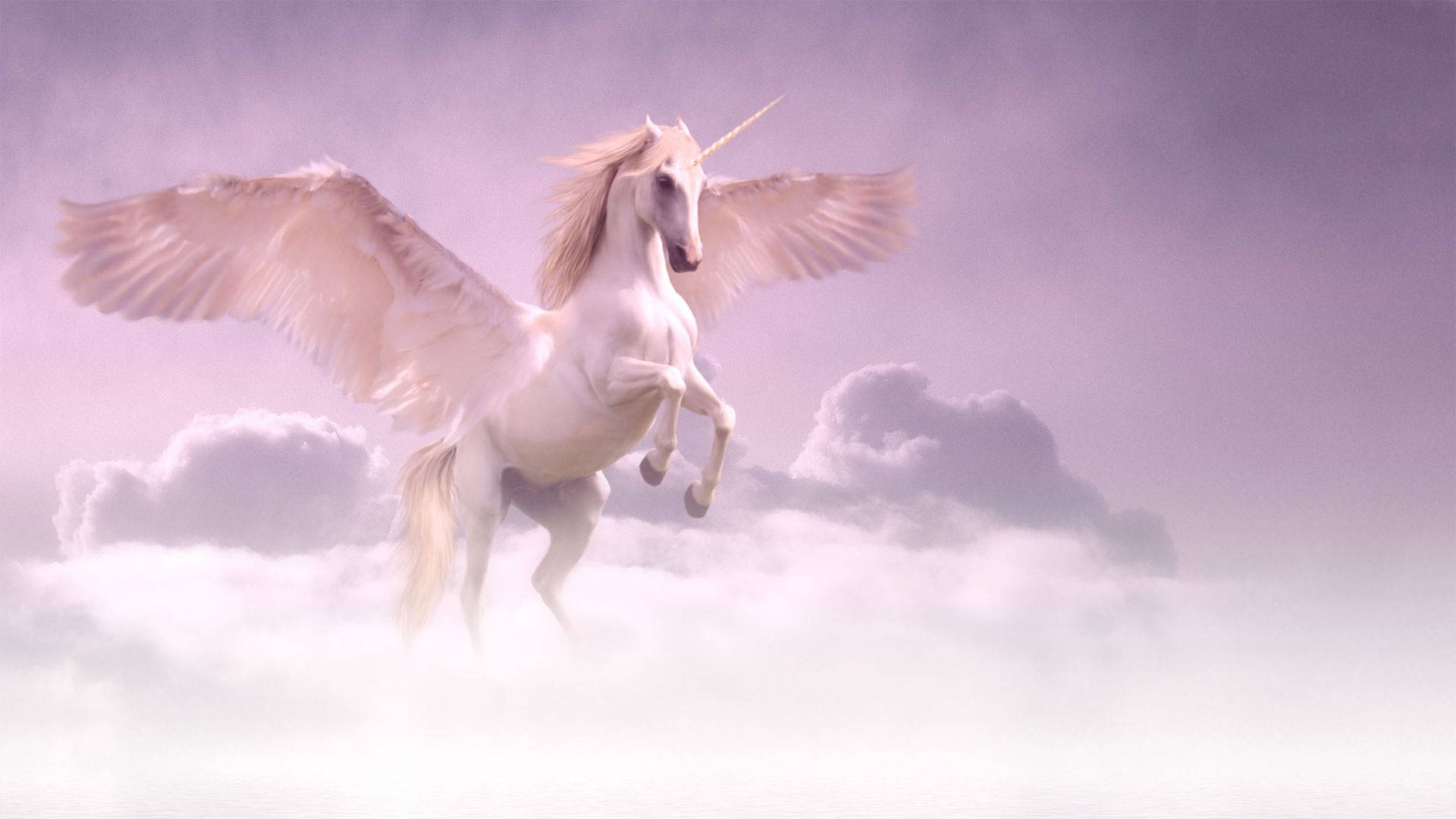 Make a Splash with this Cool Unicorn! Wallpaper