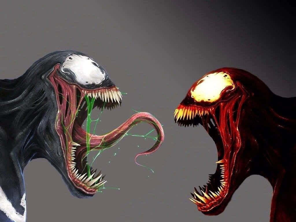Se den episk kamp mellem Venom og Carnage Wallpaper