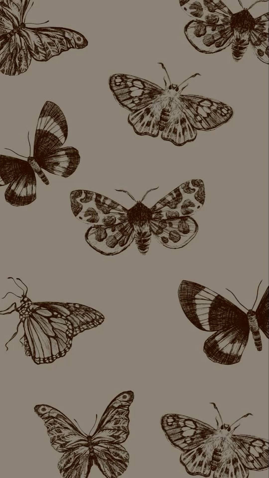 A Black And White Image Of Butterflies On A Brown Background Wallpaper