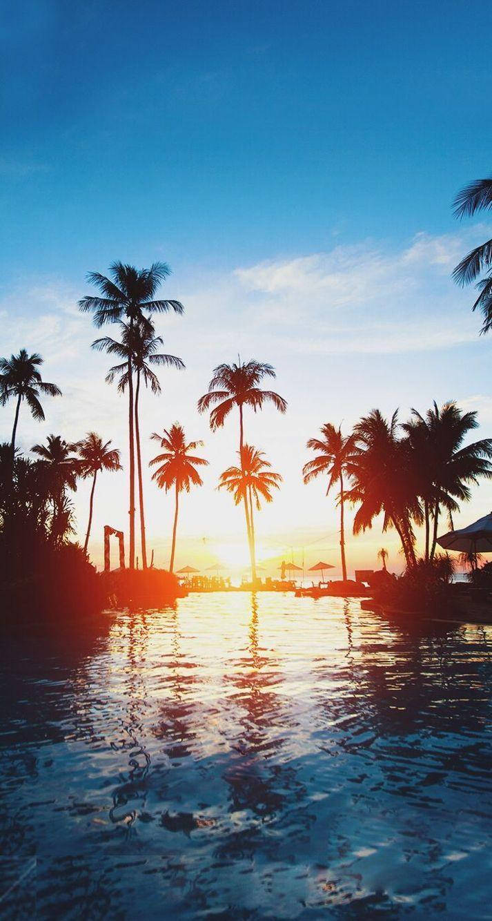 Einstrand Mit Palmen Und Einem Pool Bei Sonnenuntergang. Wallpaper