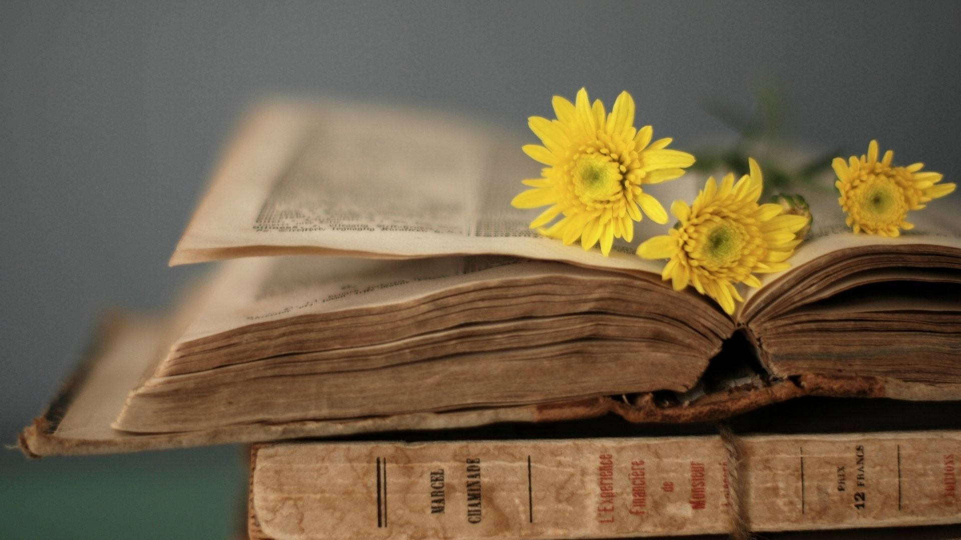 En gammel bog med gule blomster ovenpå Wallpaper