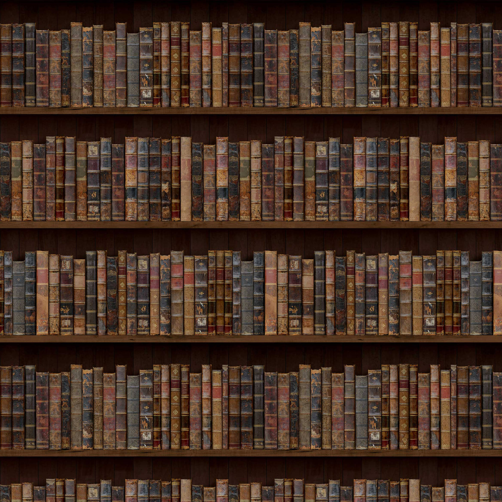 En bibliotek med mange bøger på hylder Wallpaper