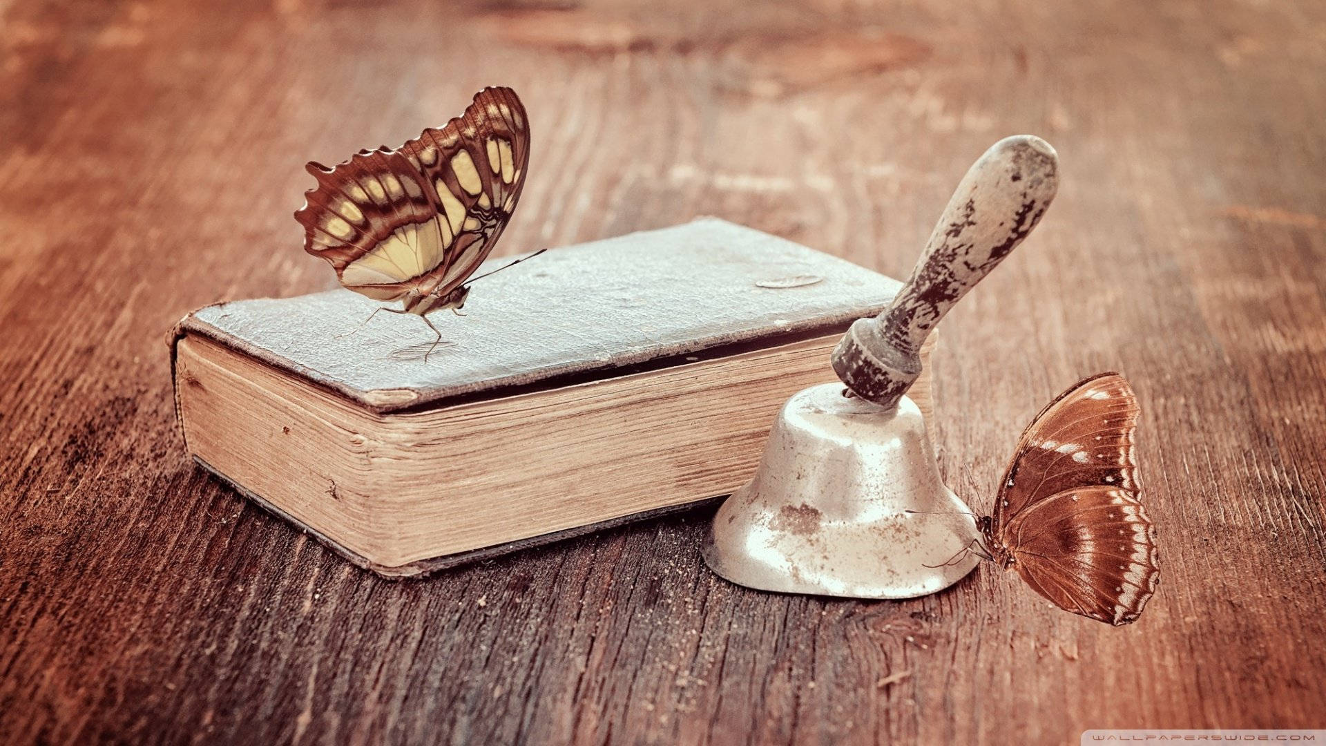 En bog med sommerfugle på det og en klokke Wallpaper