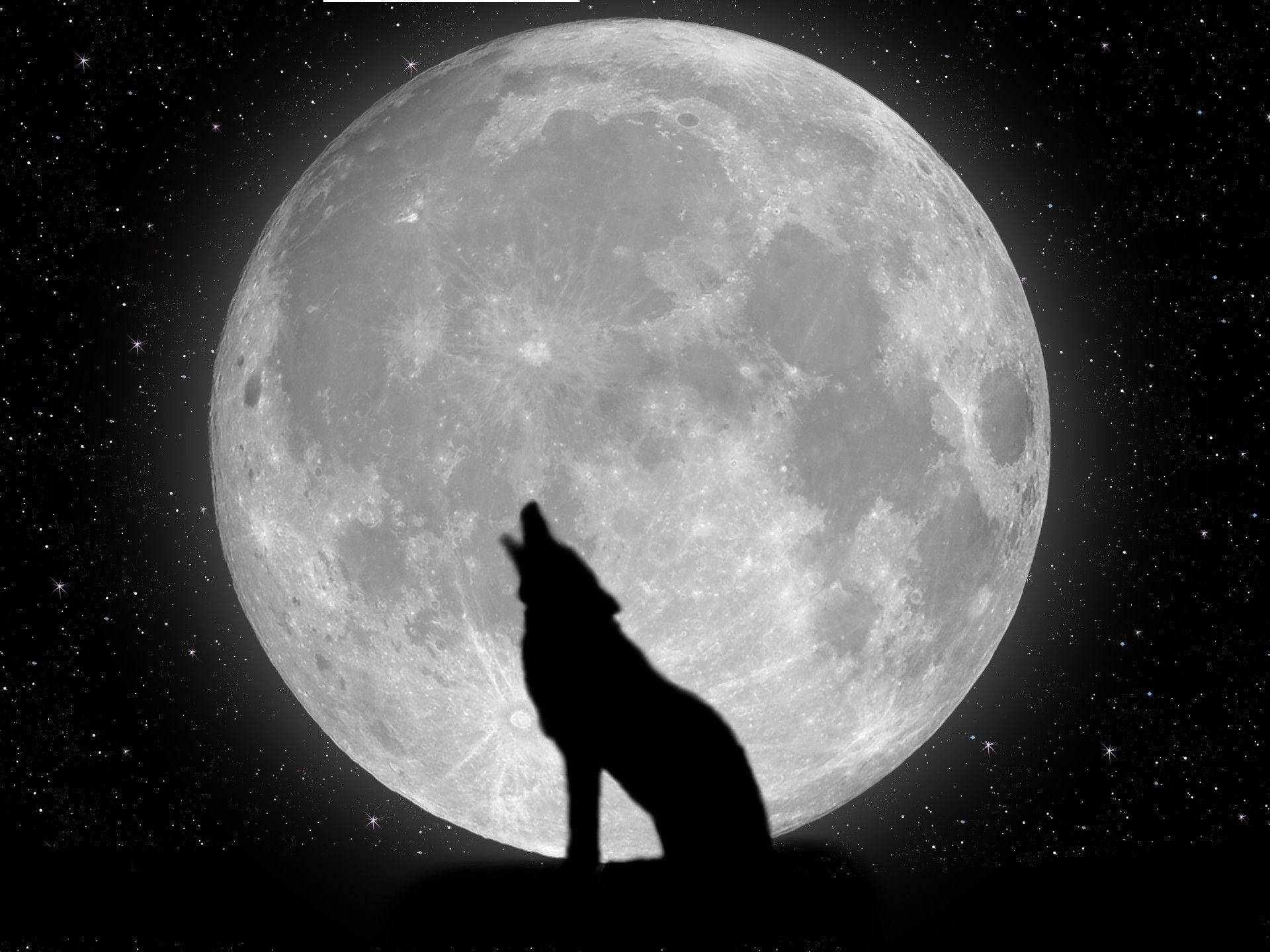 Cool Wolf And Moon Wallpaper