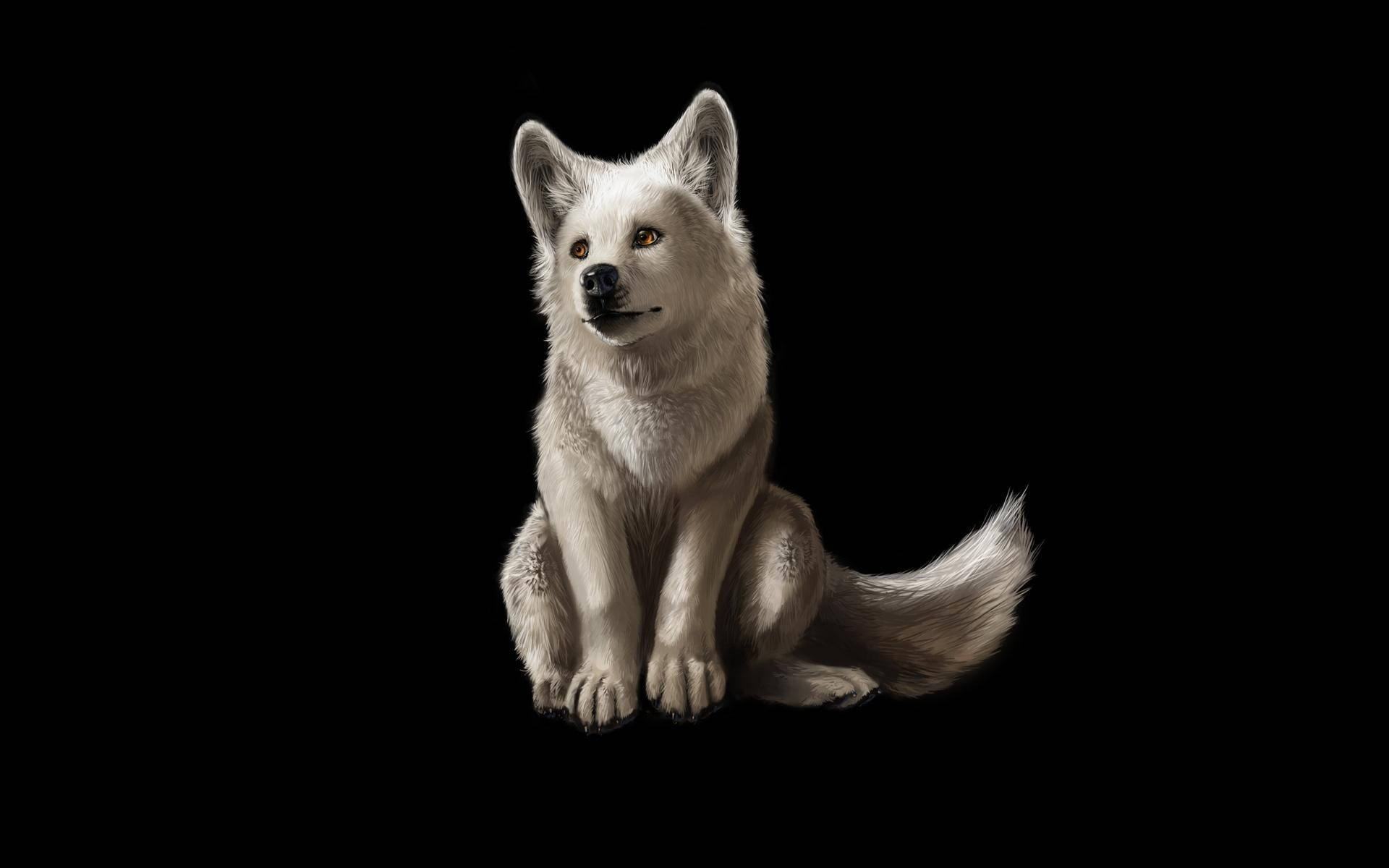 Cool Wolf Black Background Wallpaper