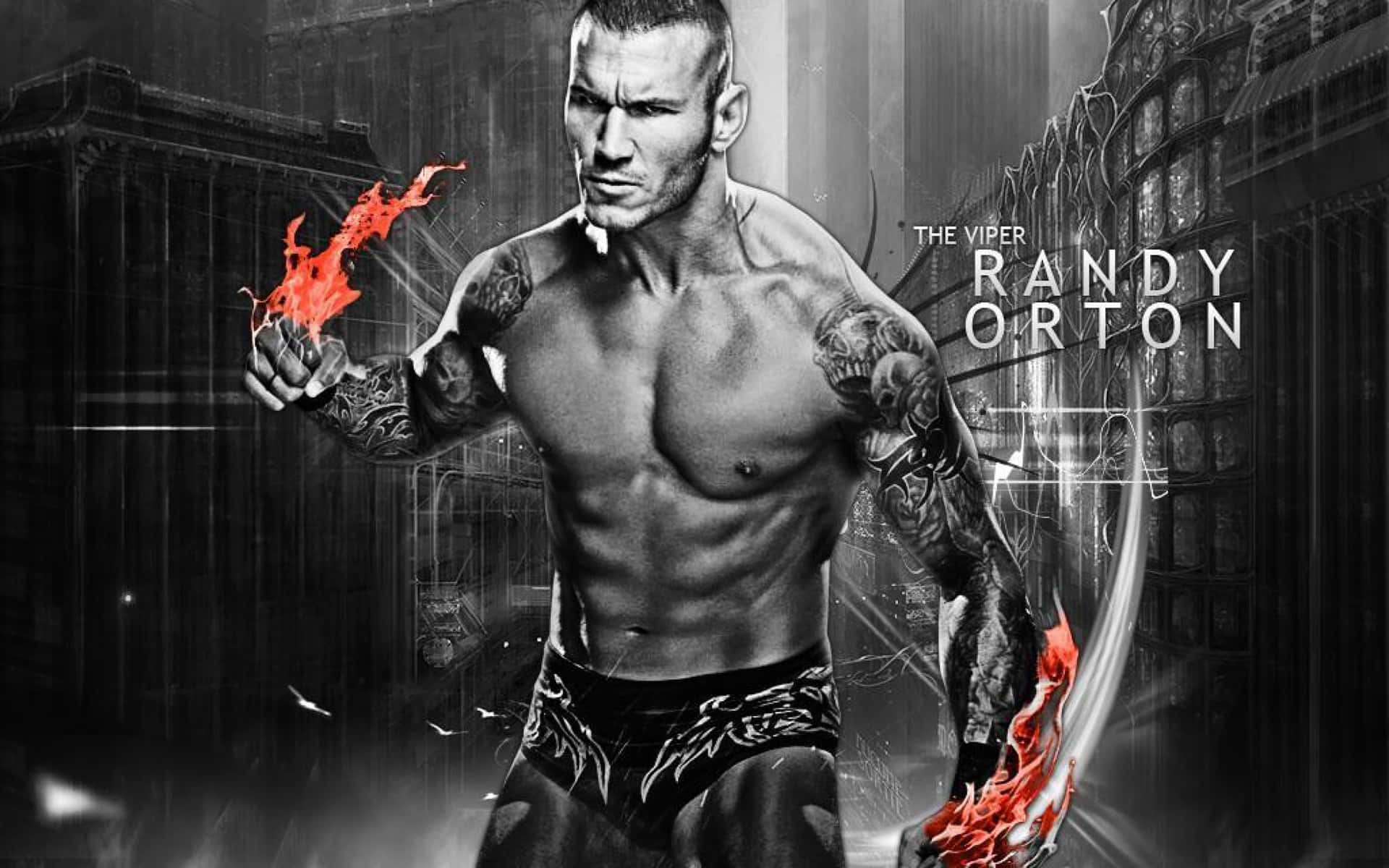Cool WWE Wrestlers Ready for Action Wallpaper