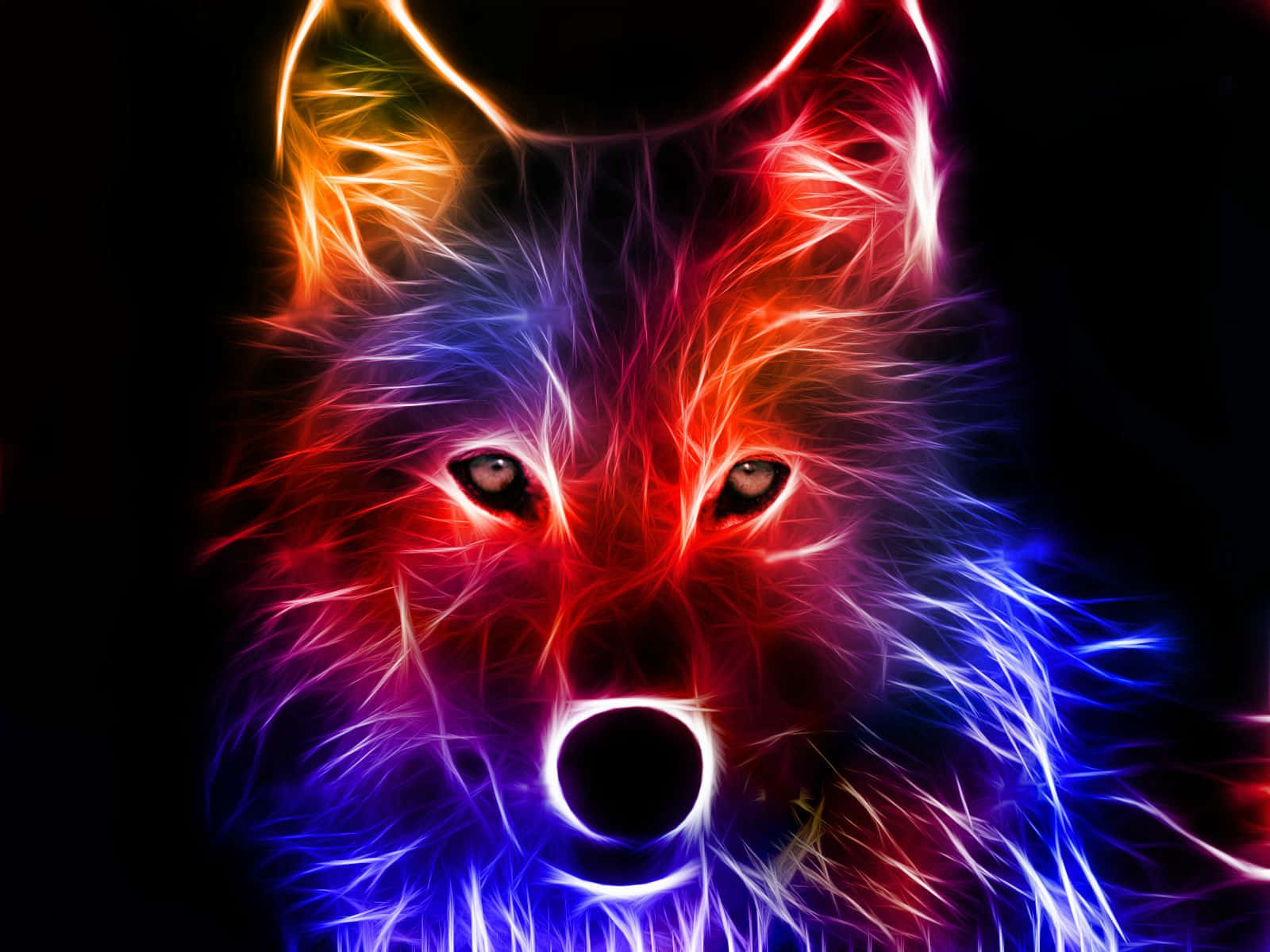 Einfarbenfroher Wolf Mit Schwarzem Hintergrund