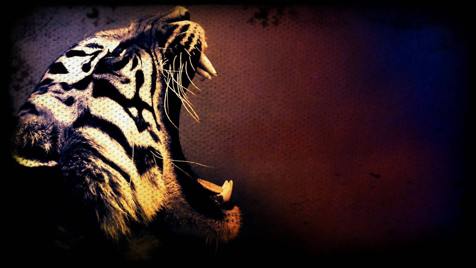 Coolest Roaring Tiger Background