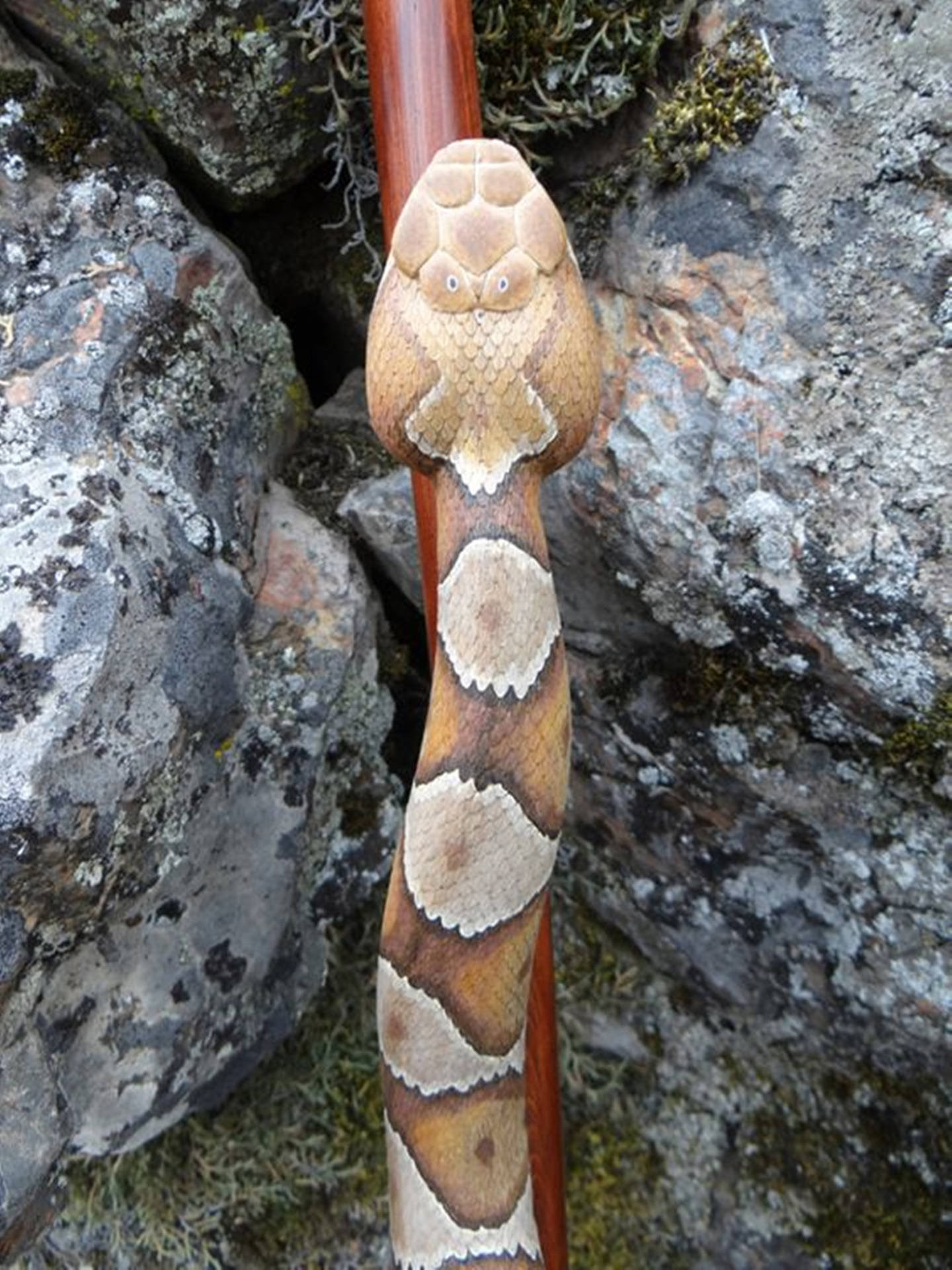 Copperhead Venomous Snake Wallpaper