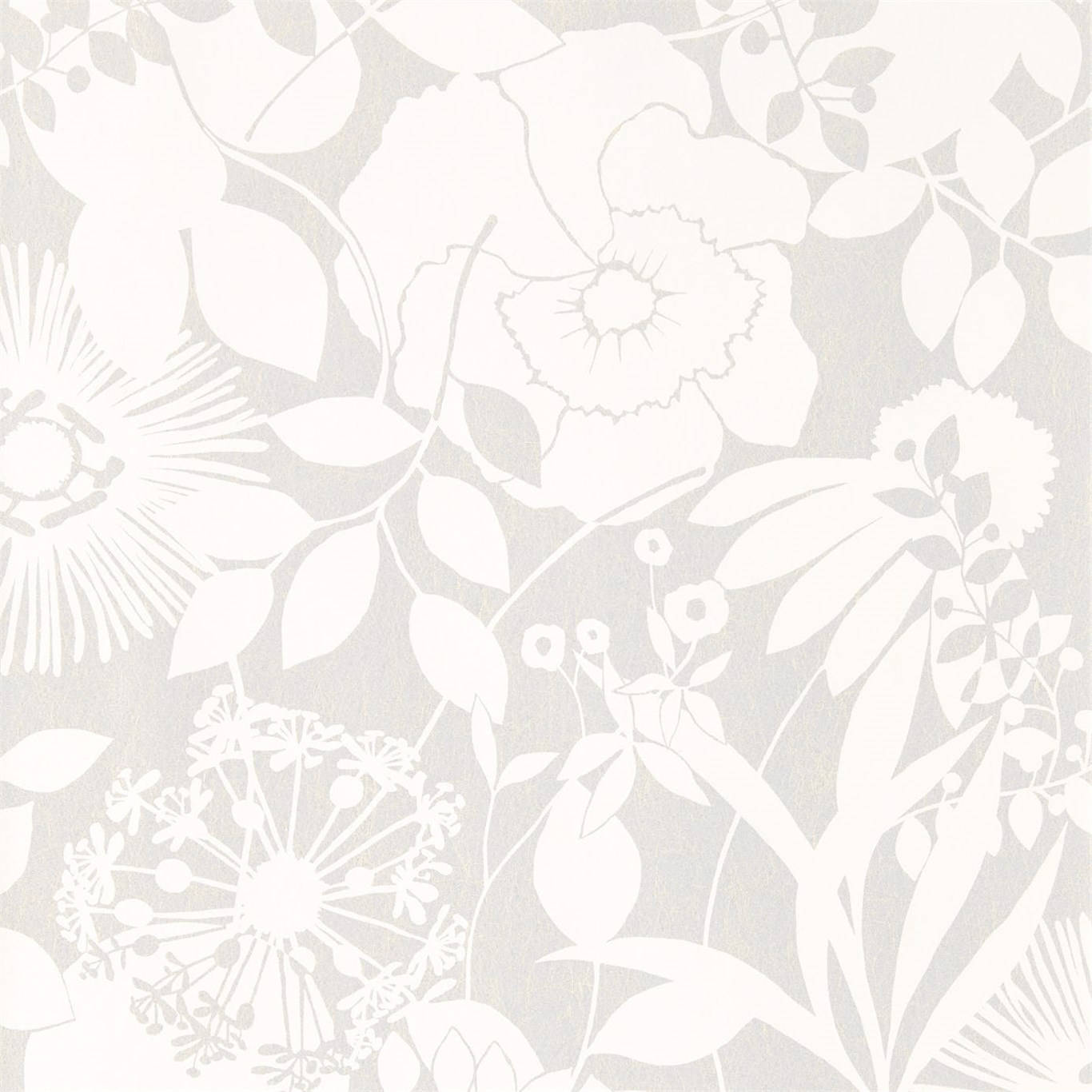 Coquette White Flowers Wallpaper