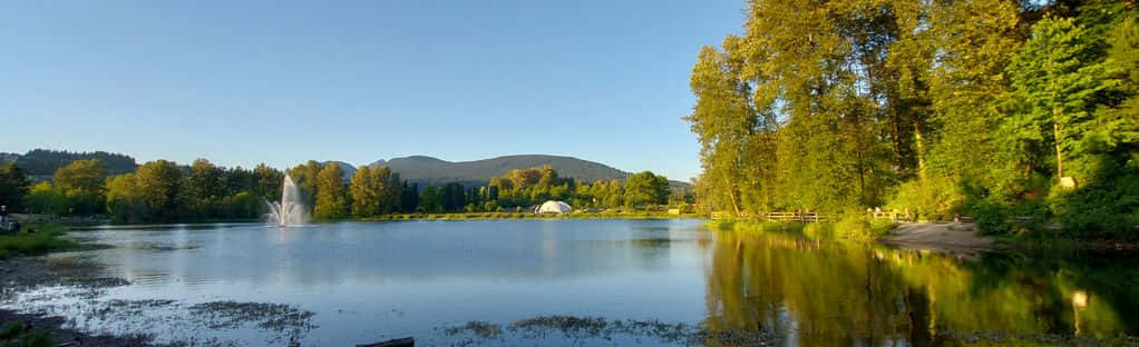 Coquitlam Park Lake Panorama Wallpaper