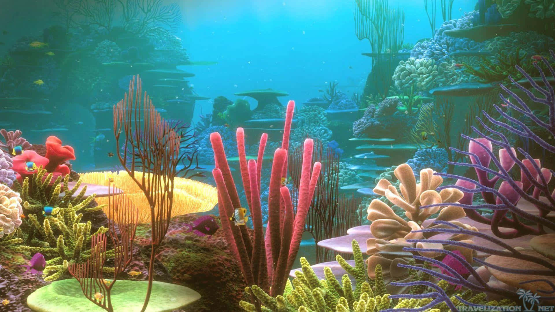 Bilden Närbild Av En Vacker Korallrev.