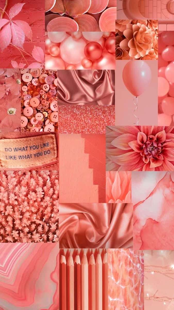 Coral_ Collage_ Aesthetic.jpg Wallpaper