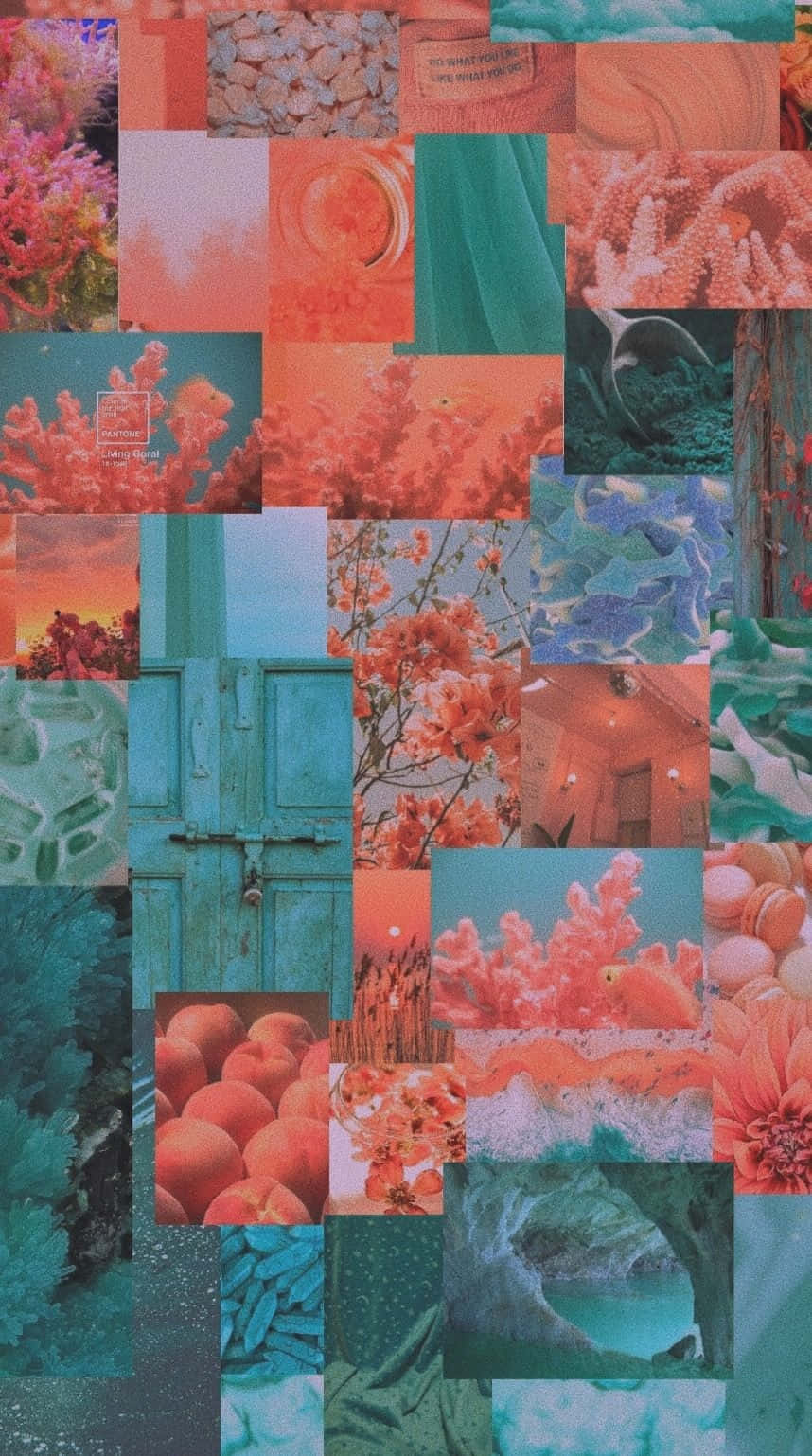 Coral Hues Collage Aesthetic.jpg Wallpaper