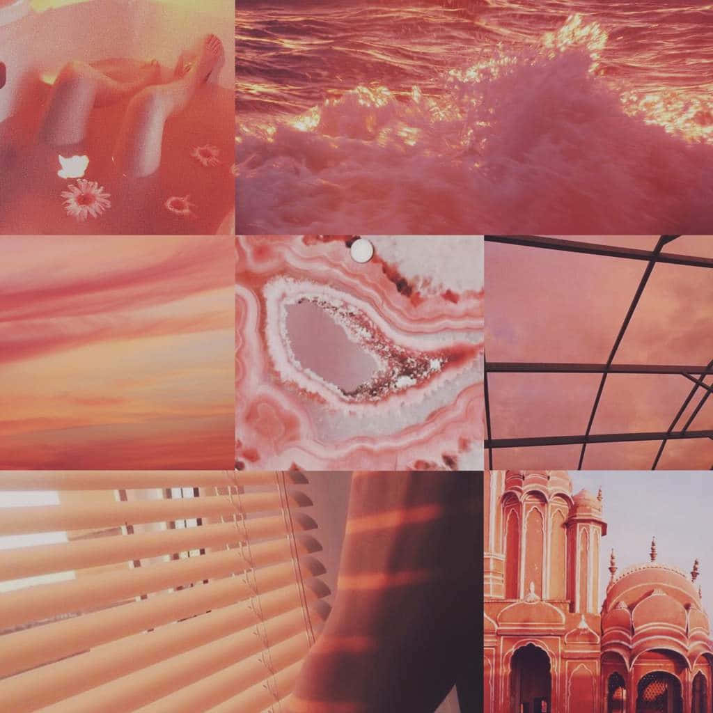 Coral Hues Collage Aesthetic.jpg Wallpaper