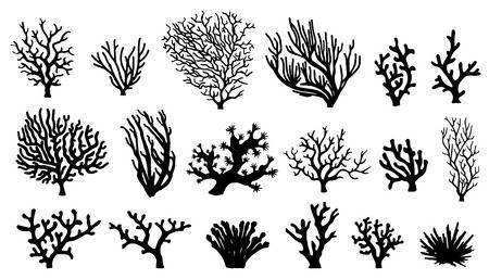 Korallenicons Wallpaper