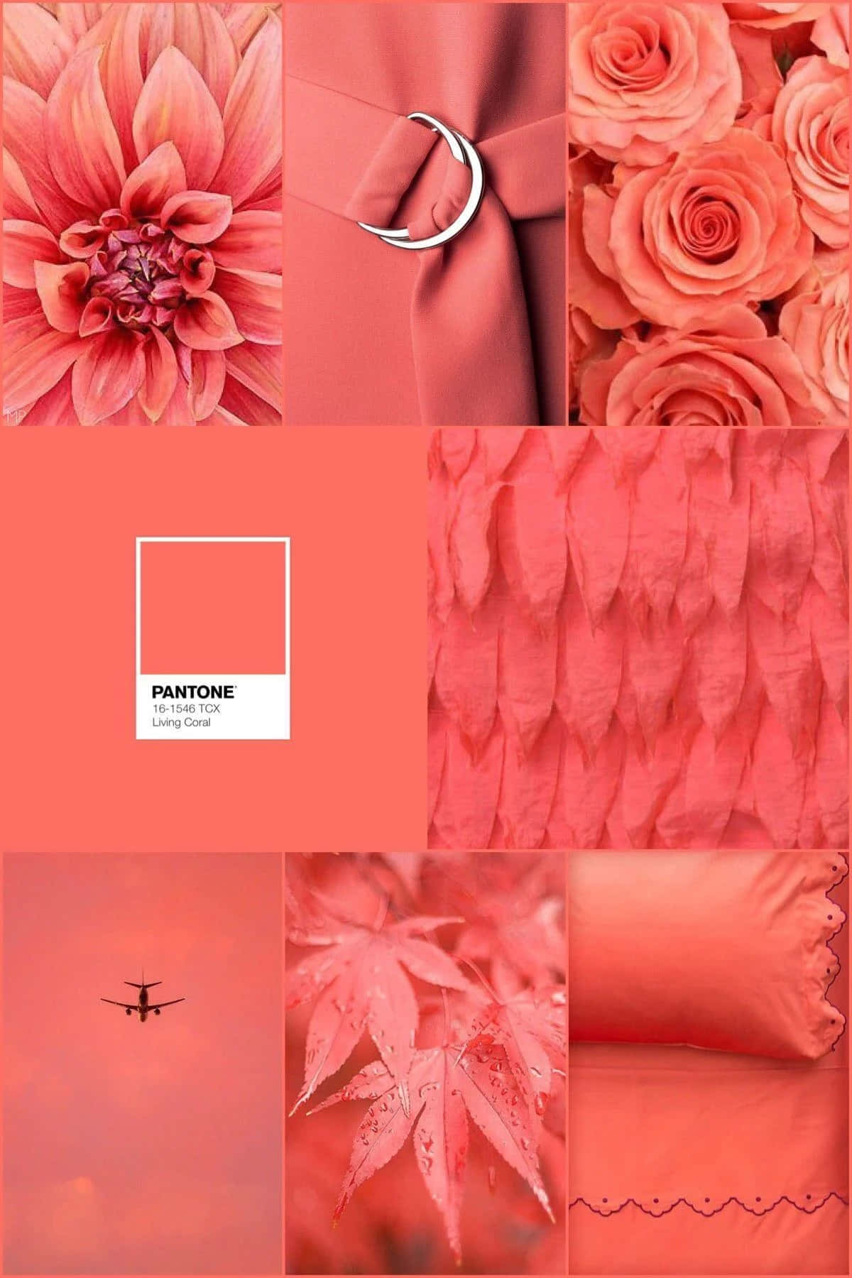 Coral Inspired Aesthetic Collage Wallpaper