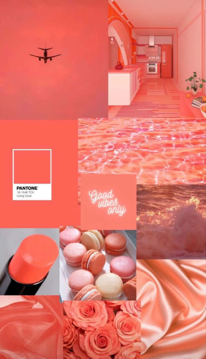 Coral Inspired Collage Wallpaper
