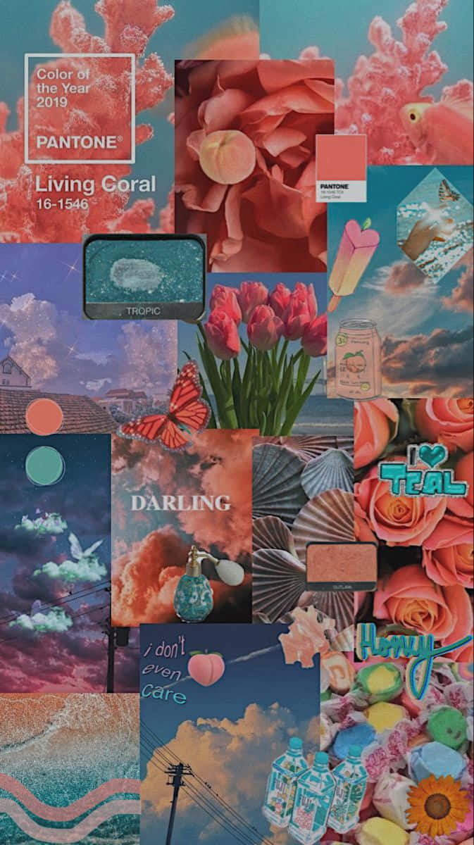 Coral Inspired Collage Aesthetic Wallpaper