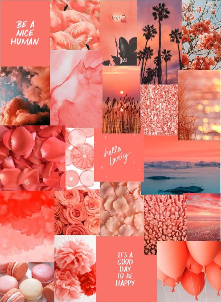 Coral Inspired Collage Aesthetic.jpg Wallpaper