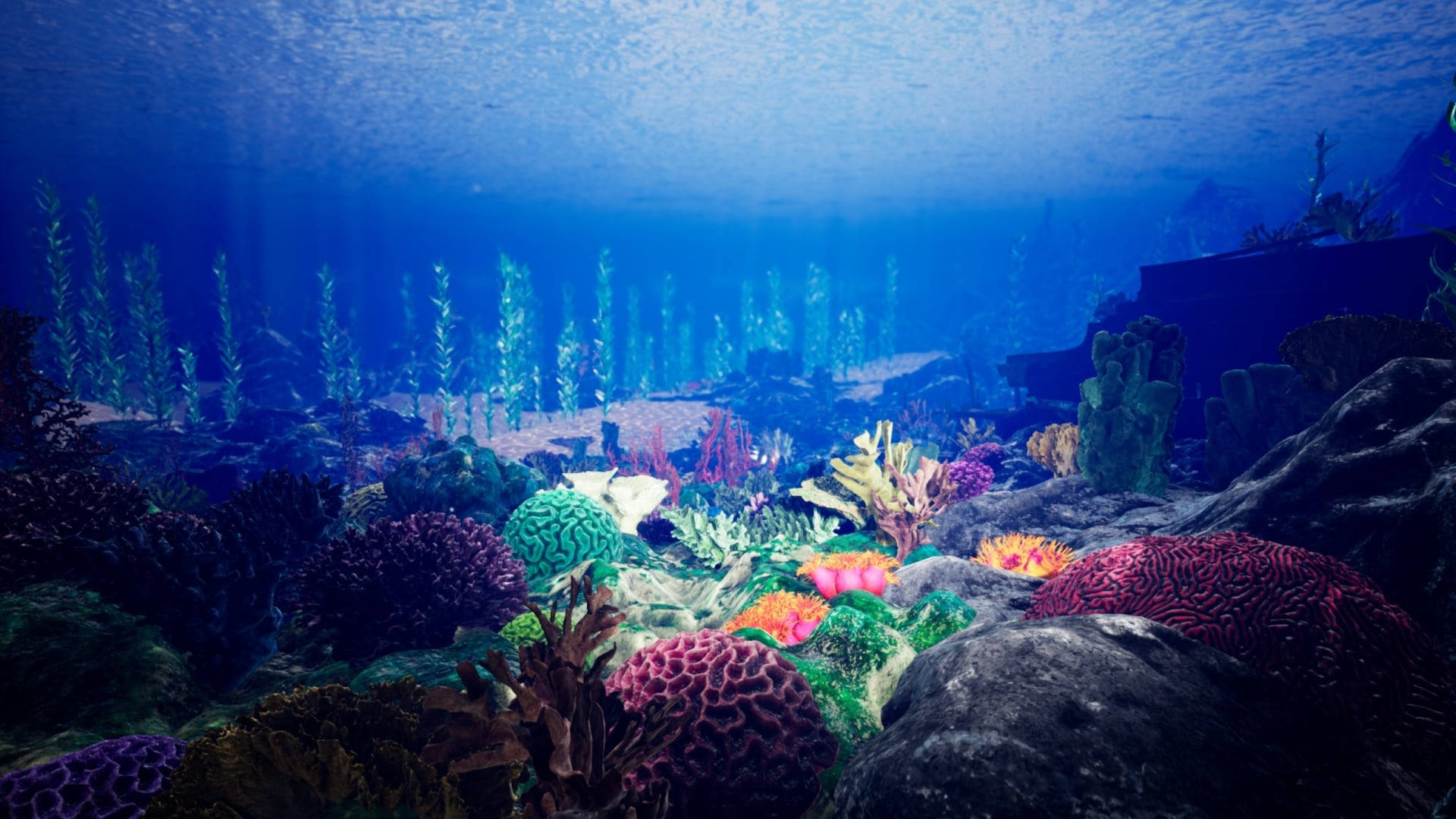 Coral Reed Ocean Paradise Wallpaper